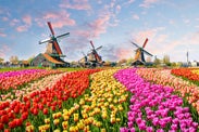 Top 15 Things To Do in the Netherlands: From Canals to Tulips