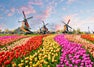 Top 15 Things To Do in the Netherlands: From Canals to Tulips