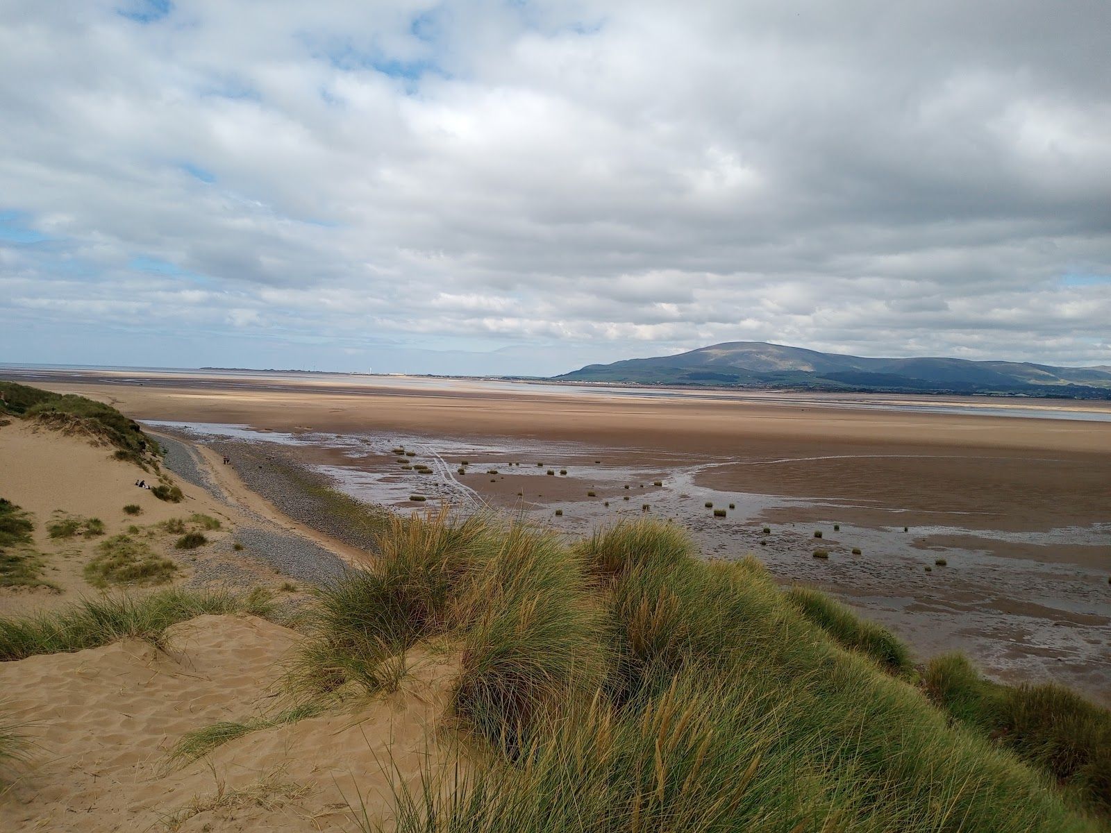 National Trust - Sandscale Haws National Nature Reserve, Askam and Ireleth, Barrow-in-Furness, Cumbria, North West England, England, United Kingdom