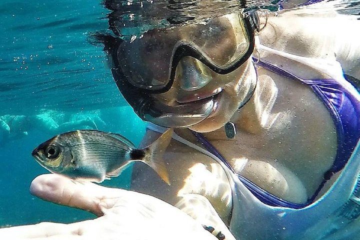 Family Kayak and Snorkel Tour in San Jose Cabo de Gata