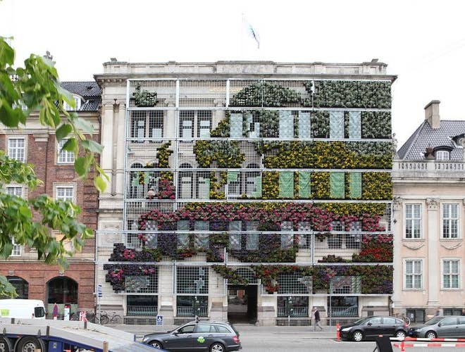 copenhagen in july 6.jpg