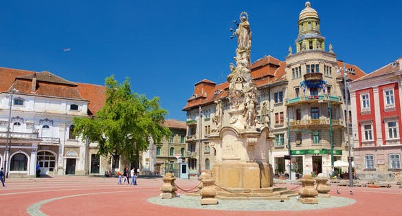 Timisoara featuring a square or plaza and a statue or sculpture