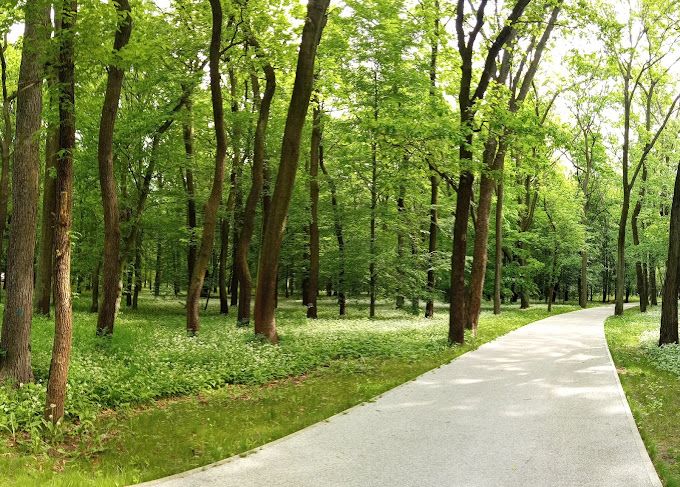 Park Zielona w Dąbrowie Górniczej,Poland.