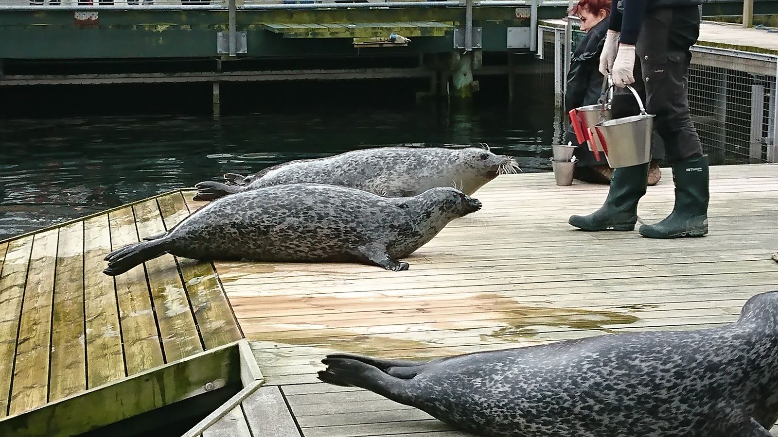 Fjord&Bælt, Kerteminde Kommune, Region of Southern Denmark, Denmark