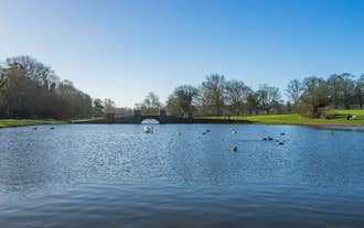 Verulamium Park