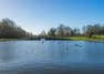 Verulamium Park travel guide