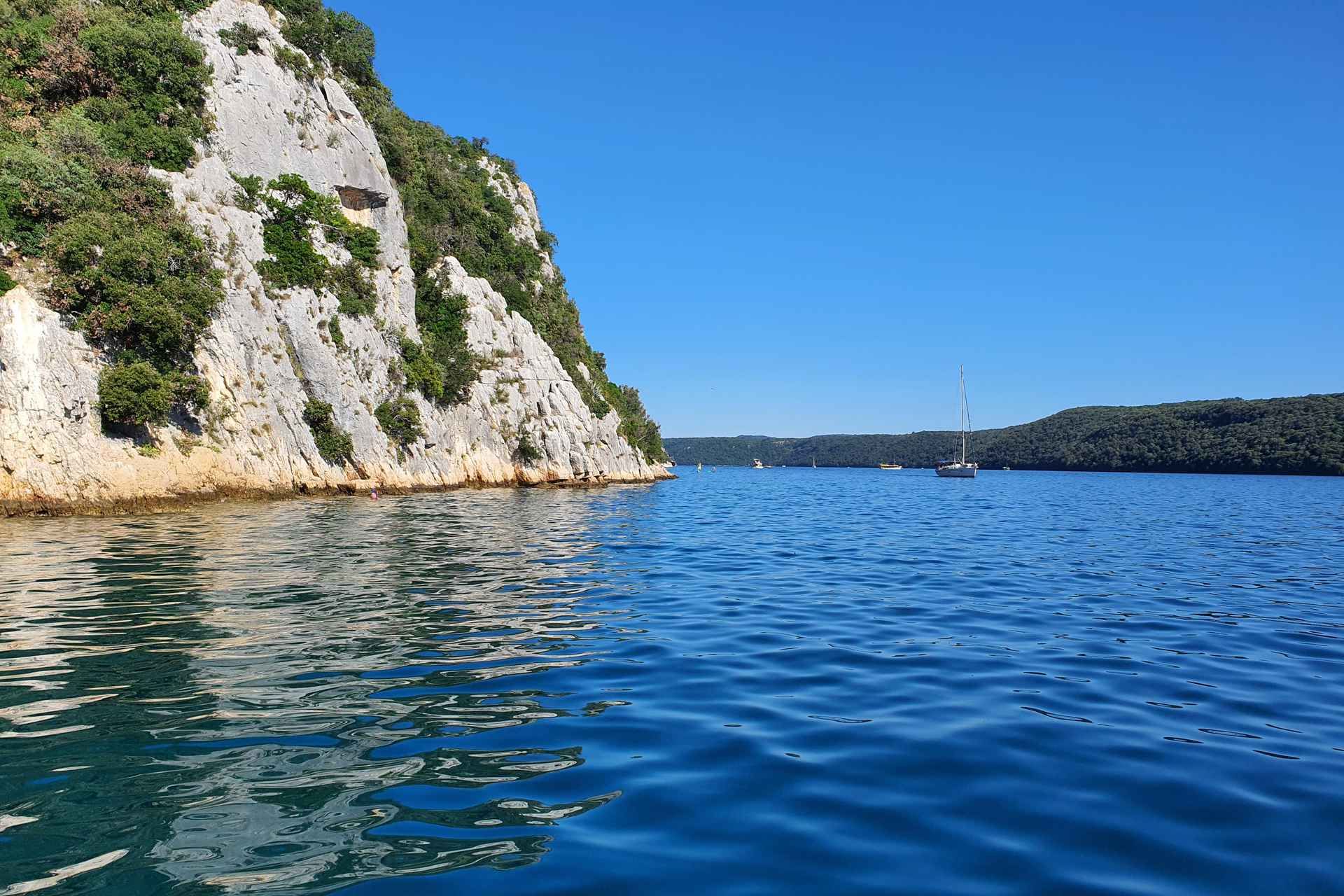 Dolphin safari every evening