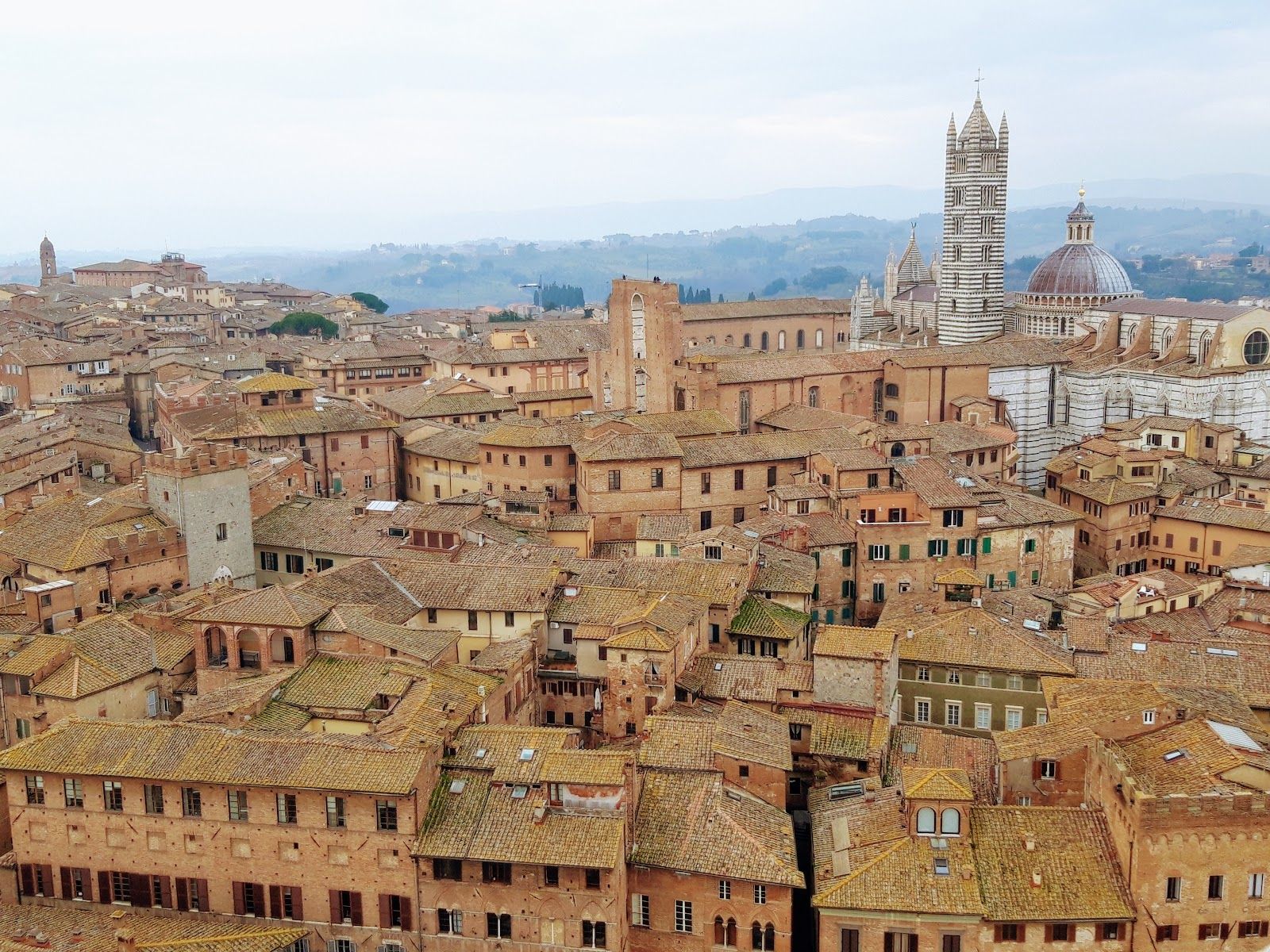 Tower of Mangia, Siena, Tuscany, Italy