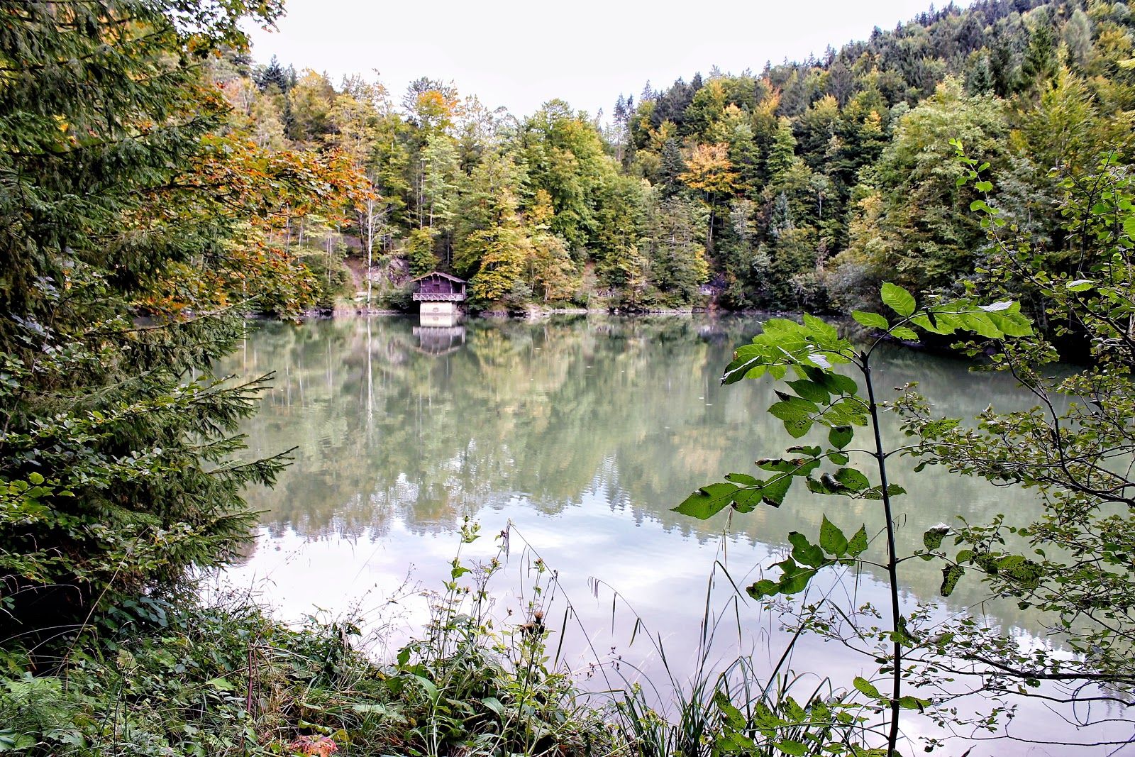 Alplochschlucht, Stadt Dornbirn, Bezirk Dornbirn, Vorarlberg, Austria
