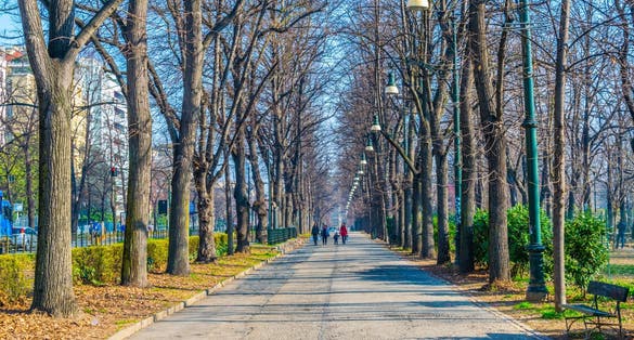 photo of view of a promenade leading through the parco del valentino in the italian city torino