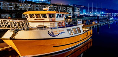 Cork: 2-Hour Guided Cork Harbour Scenic Cruise