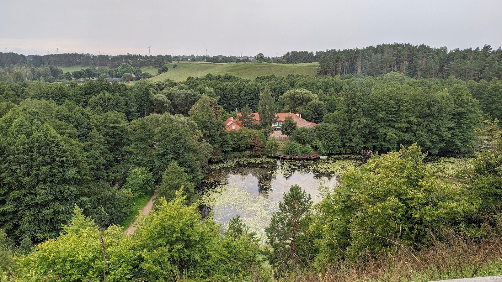 Oz turtulski, Malesowizna, gmina Jeleniewo, Suwałki County, Podlaskie Voivodeship, Poland