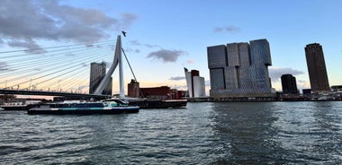 Rotterdam: WaterShuttle Ticket to Kinderdijk