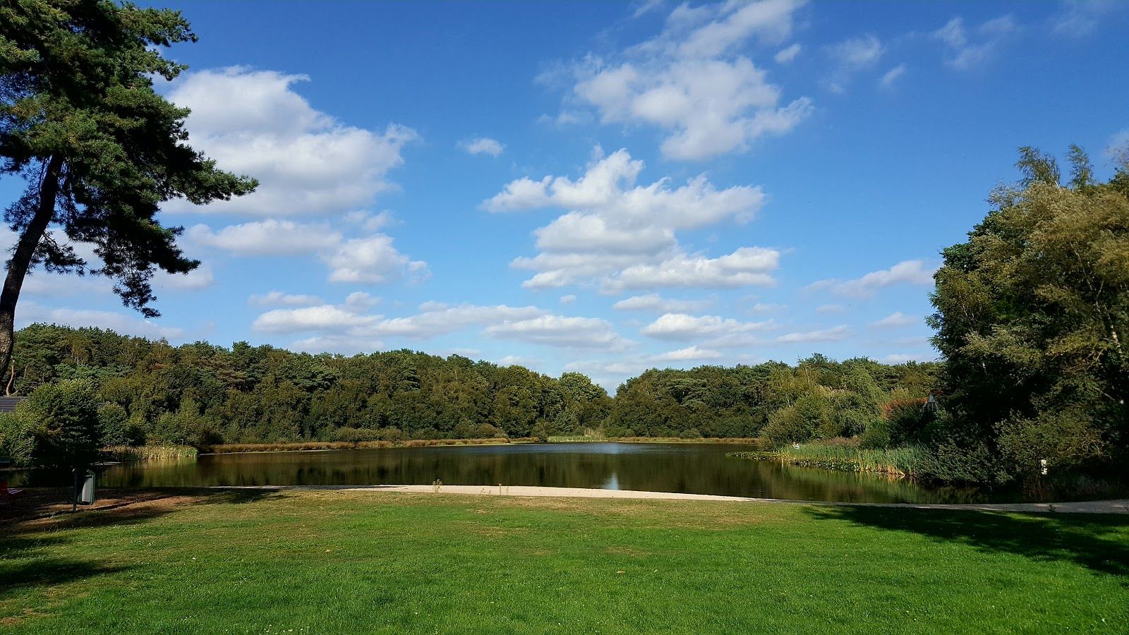 Dagstrand Heelderpeel, Heel, Maasgouw, Limburg, Netherlands