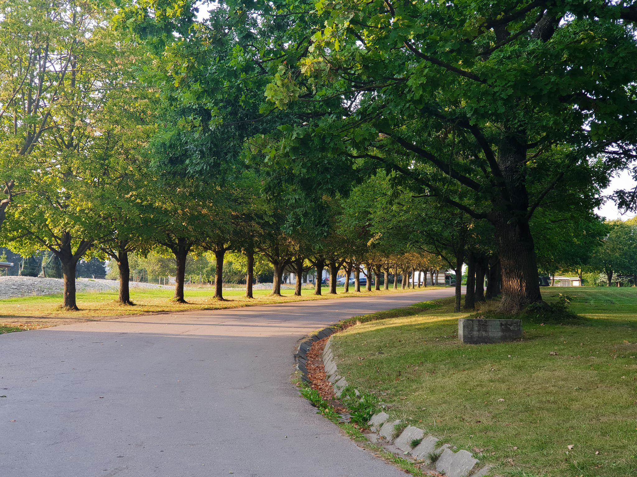 Photo of the road with green trees and grass at the side. Beautiful unspoiled nature in Tallinn Zoo, Estonia.