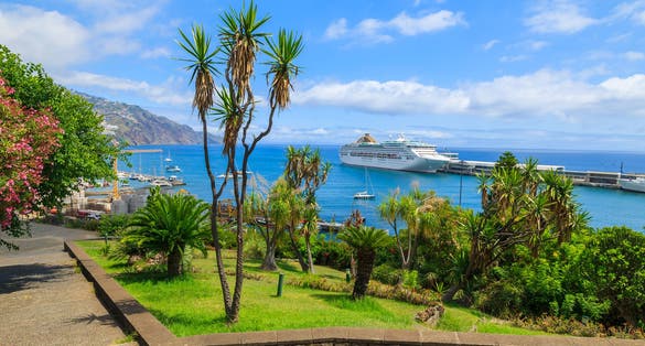 Photo of tropical park in Funchal town with cruise ship on sea, Portugal.