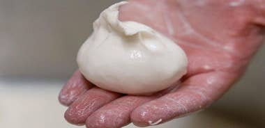 Masseria Seppunisi Mozzarella and Burrata Experience in Puglia