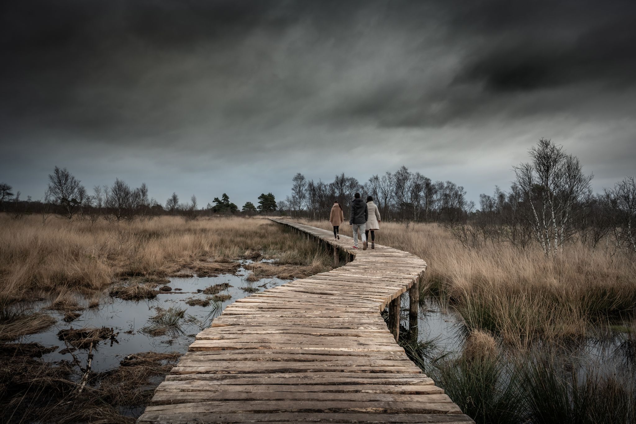 photo of people walking in wooden pathway with moody sky landscape in National Park de Groote Peel in Asten, the Netherlands.
