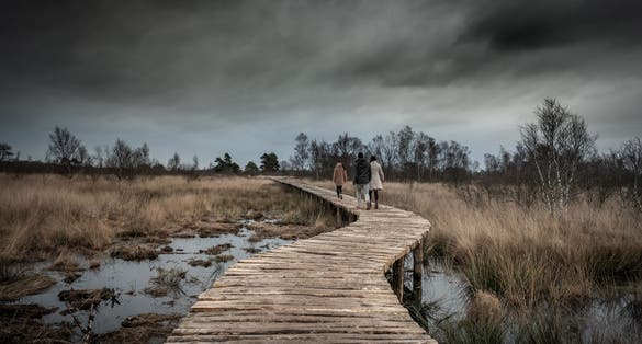 photo of people walking in wooden pathway with moody sky landscape in National Park de Groote Peel in Asten, the Netherlands.