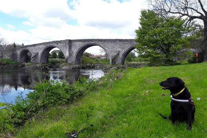 Braveheart (Battle of Stirling Bridge) Tour