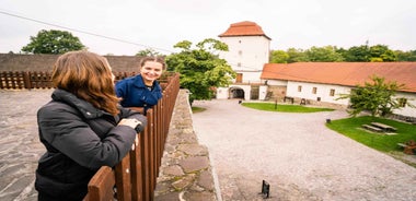 Ostrava: Entrance to Silesian Ostrava Castle