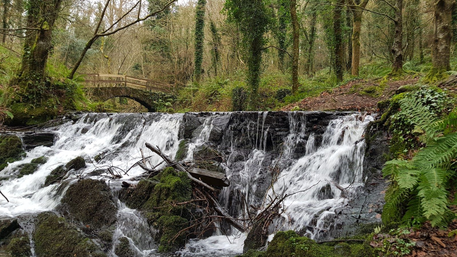 Dún an Rí Forest Park, Cabra, Kingscourt ED, Bailieborough-Cootehill Municipal District, County Cavan, Ireland