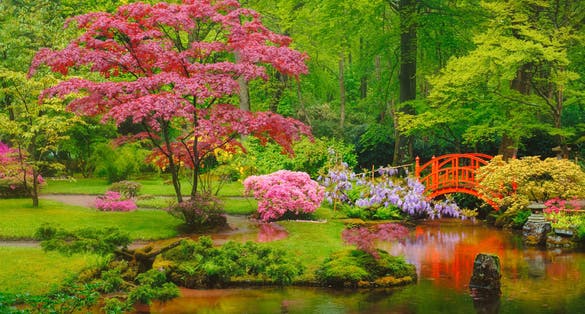 Small bridge in Japanese garden, Park Clingendael, The Hague, Netherlands