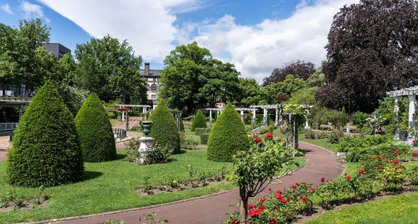Photo of Shrubs trimmed in the form of cones and roses in Lecoq City Park in Clermont-Ferrand, France.
