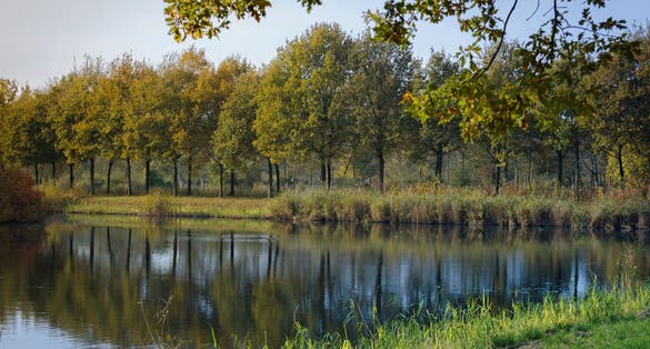 photo of Natuurpark Lelystad in Lelystad, the Netherlands.