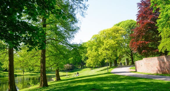 Beautiful trees in the park, Monchengladbach