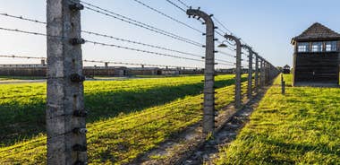 From Krakow: Auschwitz-Birkenau Guided Tour, Several Options