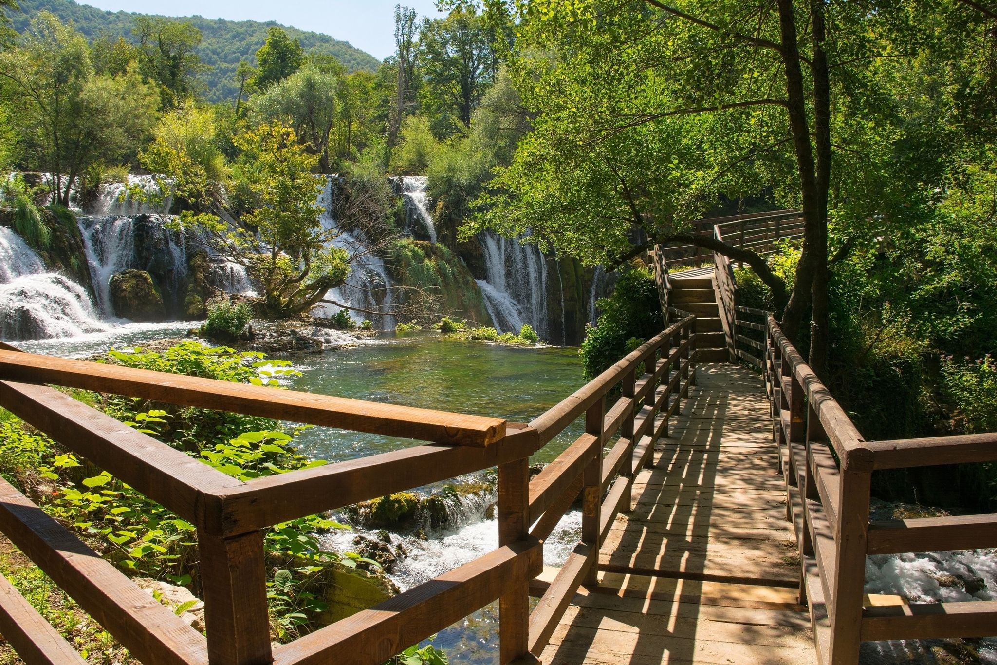 shutterstock_2391813087 (1).jpg