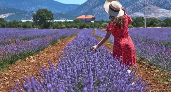 Photo of girl in beautiful lavander field. Taken on roadside in Denizli ,Turkey.