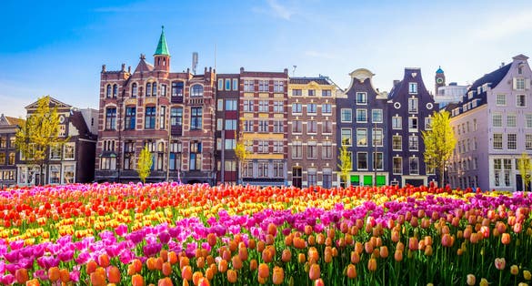 Traditional old buildings and tulips in Amsterdam, Netherlands.