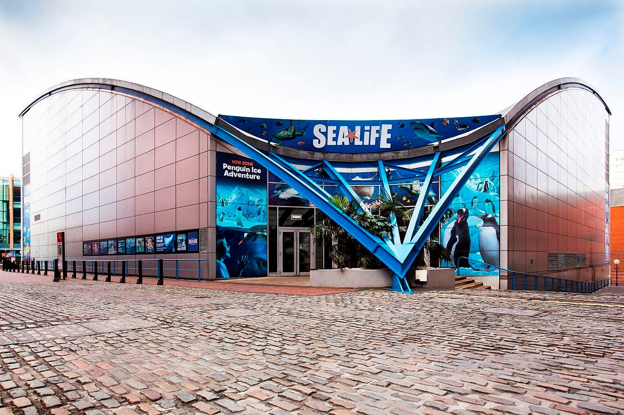 Photo of National Sea Life Centre, Birmingham, UK.