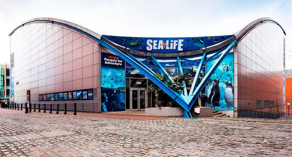 Photo of National Sea Life Centre, Birmingham, UK.