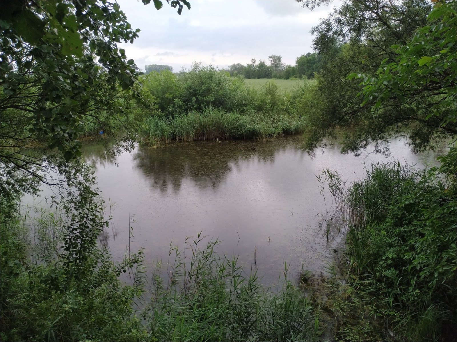 Ócsai madárvárta, Ócsa, Gyáli járás, Pest megye, Central Hungary, Hungary