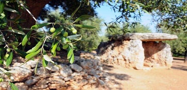 E-bike tour in Ostuni. Oil mill, Dolmen and huge olive trees