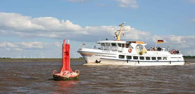From Tönning: Boat trip to see the seals