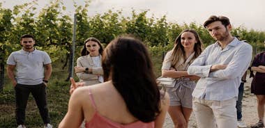 Guided Visit and Wine Tasting at the Winery in Veneto