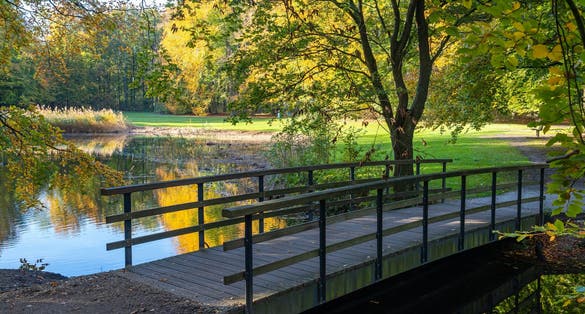 Autumn scenery with the bridge from the forest called Haagse Bos, in the Hague, The Netherlands