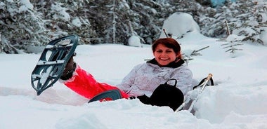 Full-Day Snowshoeing in High Tatras with Local Mountain Guide from Poprad