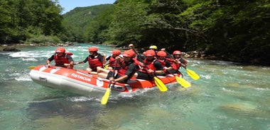 Tara Rafting - Full day tour