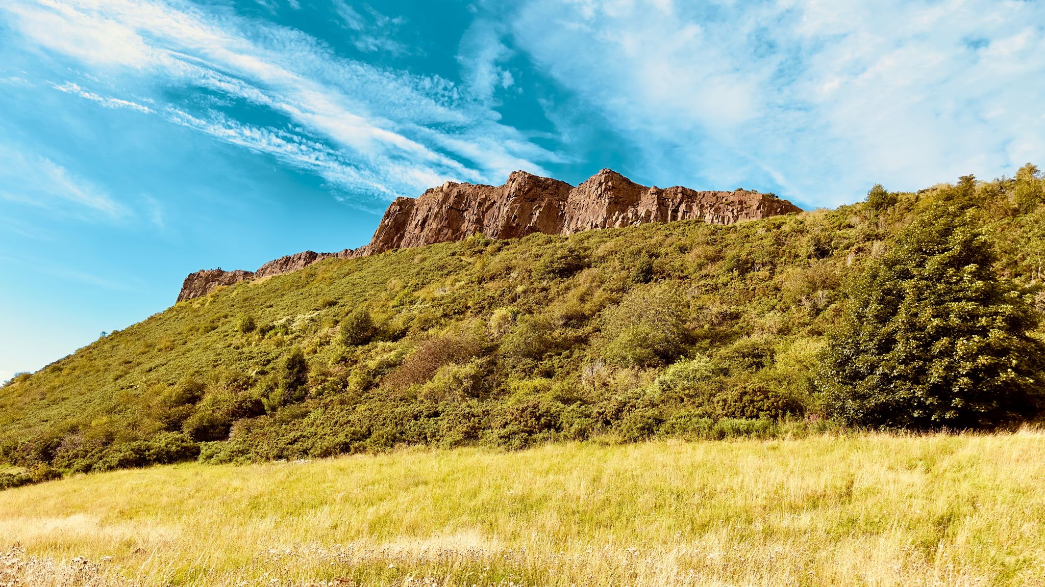Scottish nature Holyrood Park Edinburgh