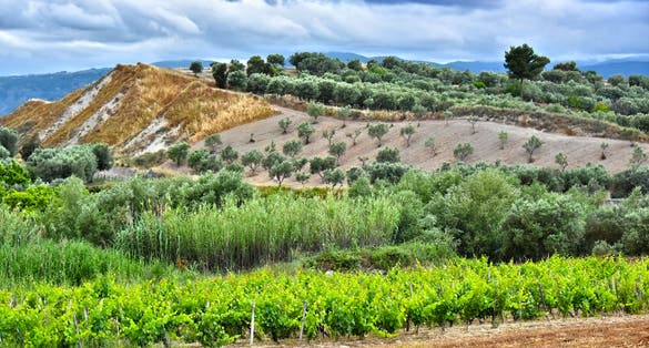 Photo of Landscape view of Calabria, in the Province of Crotone, Italy.