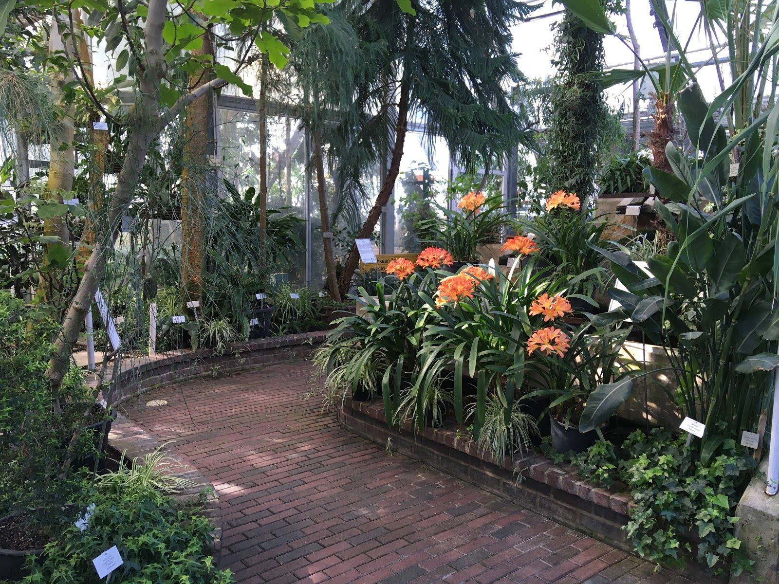 University of Oulu Botanical Gardens, Oulu, Oulun seutukunta, North Ostrobothnia, Regional State Administrative Agency for Northern Finland, Mainland Finland, Finland