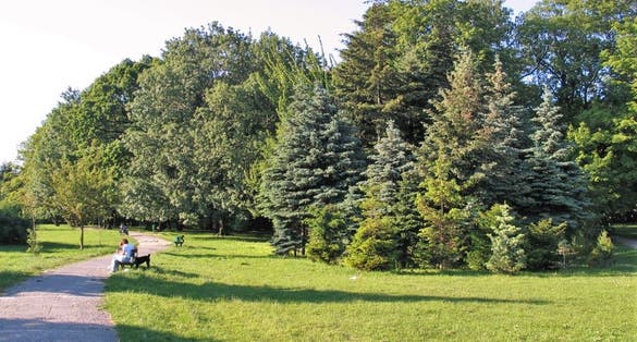 Park Źródliska Łódź,Poland.
