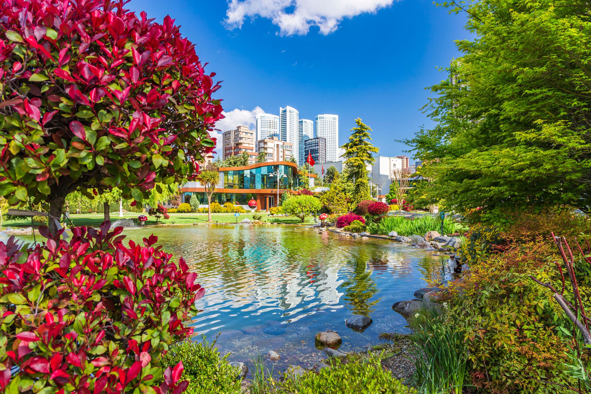 Aerial view from Moda Yogurtcu Park neighborhoods of Kadikoy, a large, populous, and cosmopolitan district in the Asian side of Istanbul, Turkey.