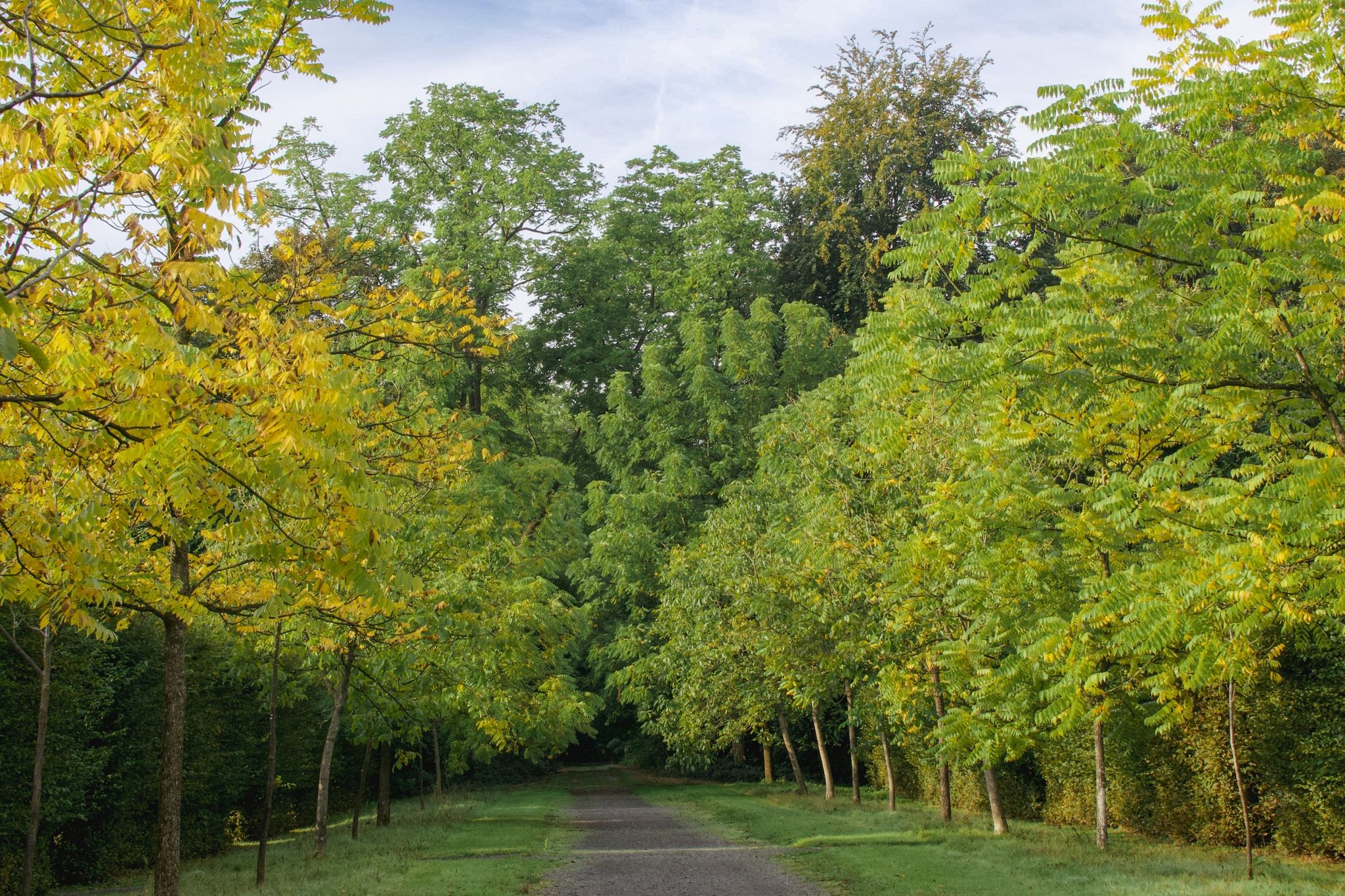 photo of view of Beautiful view of the Enghien Gardens, Enghien, Belgium.