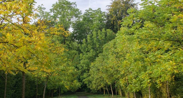 photo of view of Beautiful view of the Enghien Gardens, Enghien, Belgium.
